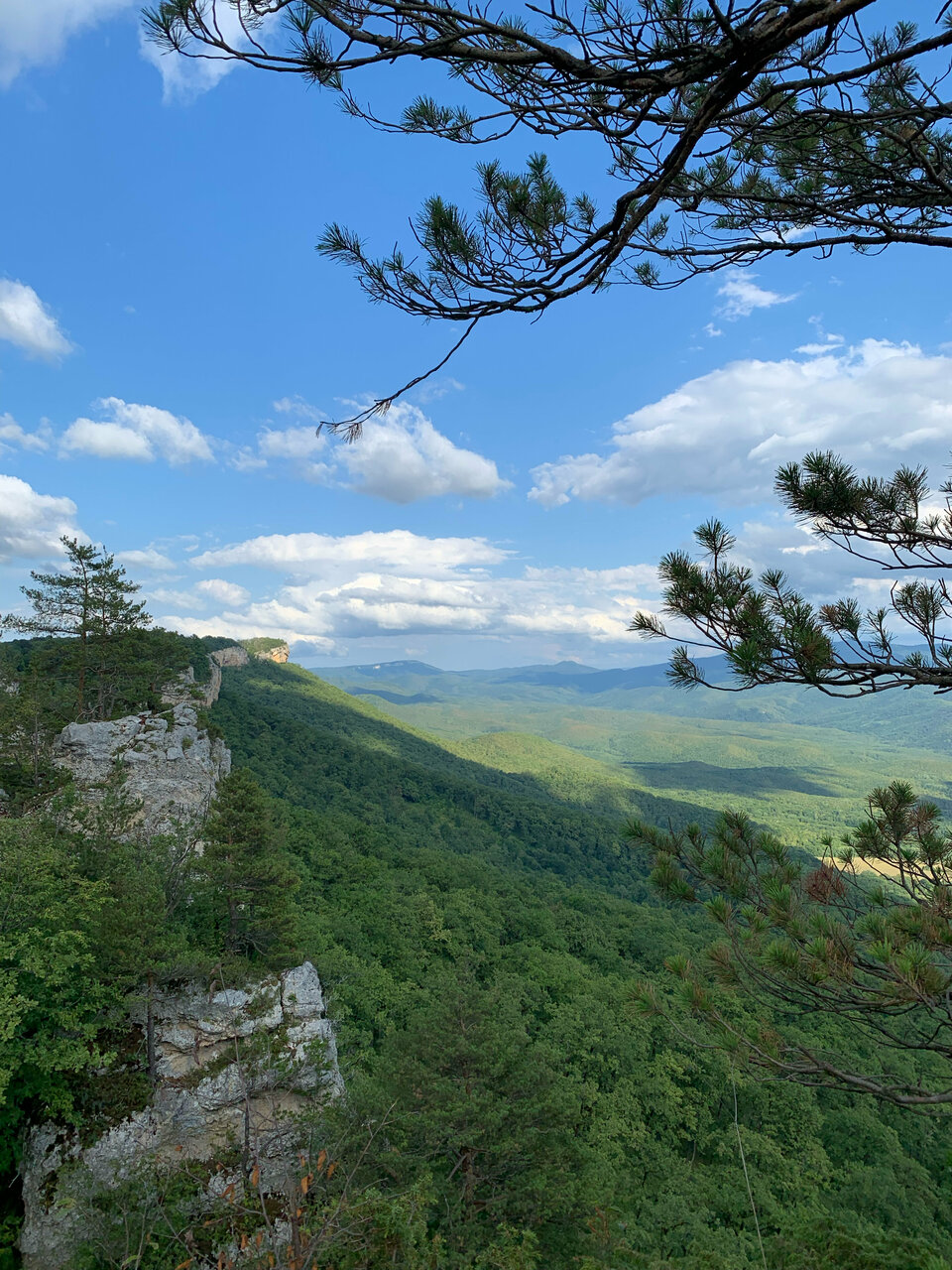 Гостиница Терем у реки Каменномостский-249